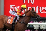 Thoroughbred Breeders Stakes winner Clifton Red heads to Golden Slipper Thoroughbred Breeders Stakes winner Clifton Red heads to Golden Slipper