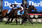 2014 The BMW Field Includes Seven Group 1 Winners 2014 The BMW Field Includes Seven Group 1 Winners