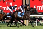 The BMW field gives Fiorente a chance to regain WFA crown