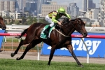 Solicit To Debut For Ryan In Guy Walter Stakes