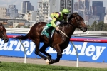Solicit tuning up for 2014 Cox Plate campaign