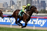 Queen Of The Turf Stakes fancy Solicit to undergo vet test Queen Of The Turf Stakes fancy Solicit to undergo vet test