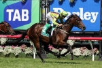 Solicit out of Phar Lap Stakes, runs at Moonee Valley