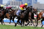 Zululand Primed For Sires Produce Stakes Zululand Primed For Sires Produce Stakes
