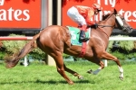 Flying Snitzel gets home track advantage in Coolmore Classic