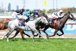 Puissance De Lune and Budriguez dead heat Blamey Stakes