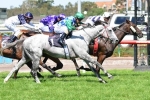 Puissance De Lune has time to recover for Spring Carnival