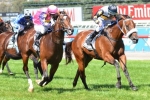 Shamexpress Primed For King Stand Stakes Onslaught