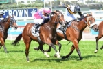 Shamexpress heads 2014 Newmarket Handicap nominations