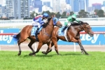 Super Cool on target for Caulfield Cup