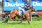 Complete 2013 Cox Plate Betting Tips By The Facts