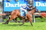 Super Cool nearing a return for a Cox Plate mission Super Cool nearing a return for a Cox Plate mission