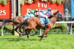 Super Cool has the right form for the Melbourne Cup