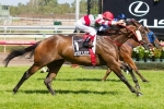 McNair gives Hay List winning chance in Concorde Stakes McNair gives Hay List winning chance in Concorde Stakes