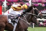 No Melbourne Cup for Preferment and Sacred Master