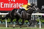 Waller oversees Brazen Beau in July Cup build up