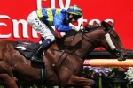 Maher confirms Melbourne Cup campaign for Jameka