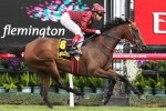 Noble Protector shaping up nicely for 2016 Doomben Cup