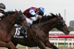 Retired Spillway to start stud career as a stallion Retired Spillway to start stud career as a stallion
