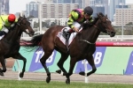 Perfect Oliver Ride Delivers Suavito Blamey Stakes Perfect Oliver Ride Delivers Suavito Blamey Stakes