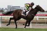 Blackiston hopes luck continues for Suavito in Doncaster Mile