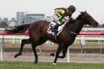 Suavito on trial for Hong Kong trip in Queen Of The Turf Stakes Suavito on trial for Hong Kong trip in Queen Of The Turf Stakes