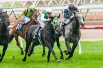 Banca Mo Takes Out Warrnambool Cup Banca Mo Takes Out Warrnambool Cup