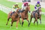 Day Procedure Seeks Moonee Valley Race Win