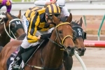 Dream Begins with Shoreham in SA Derby