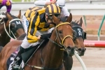 Dream Begins with Shoreham in SA Derby Dream Begins with Shoreham in SA Derby