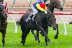 The New Boy Ready To Win In Great Strides Handicap The New Boy Ready To Win In Great Strides Handicap