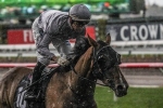 Authoritarian relished wet track to win VRC St Leger