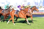 Williams give Swacadelic great chance in Pakenham Cup Williams give Swacadelic great chance in Pakenham Cup