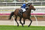 Articus back in contention for Doomben Cup