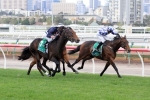 Admiral Primed for 2016 Tasmanian Stakes Admiral Primed for 2016 Tasmanian Stakes