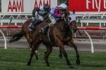 Lumosty Set To Return In Caulfield Sprint