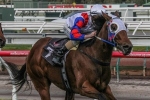 Lumosty secures a run in Stradbroke Handicap