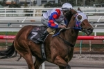 Lumosty still borderline for Stradbroke Handicap start Lumosty still borderline for Stradbroke Handicap start