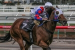 Lumosty still borderline for Stradbroke Handicap start