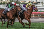3200 Metres No Issue For Sonntag In Andrew Ramsden Stakes