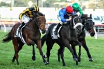 Hasan Confident Shoreham Can Return To Winning Form In Andrew Ramsden Stakes Hasan Confident Shoreham Can Return To Winning Form In Andrew Ramsden Stakes