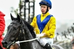 Daniel Moor to ride Our Ivanhowe in Makybe Diva Stakes