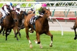 Blackiston Confident Desert Wizard Up To Class Blackiston Confident Desert Wizard Up To Class