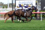 Wide barrier forces Loyalty Man out of Villiers Stakes