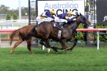 Wide barrier forces Loyalty Man out of Villiers Stakes Wide barrier forces Loyalty Man out of Villiers Stakes