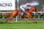 Sebring Dream to be ridden quiet from wide barrier in Schweppes Oaks