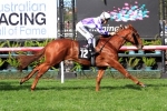 Sebring Dream to be ridden quiet from wide barrier in Schweppes Oaks Sebring Dream to be ridden quiet from wide barrier in Schweppes Oaks