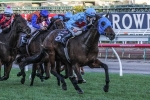 Mr Utopia On Trial For Railway Stakes In Sandown Stakes