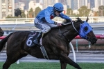 Mr Utopia on trial for Sir Rupert Clarke Stakes