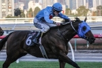 7 day back up won’t bother Mr Utopia’s Railway Stakes chances 7 day back up won’t bother Mr Utopia’s Railway Stakes chances